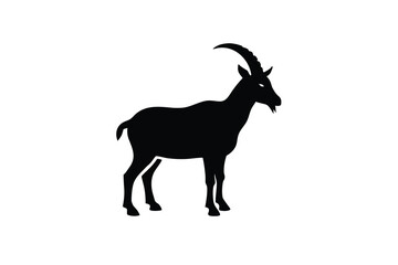 goat on a white background
