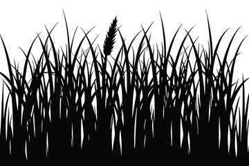 grass silhouette isolated on white