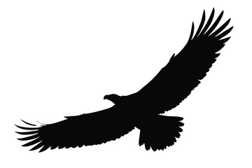 Obraz premium eagle vector illustration