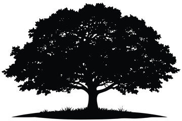 Fototapeta premium vector tree silhouette