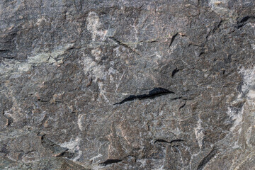 Rough textured grey sedimentary rock surface under direct sun light