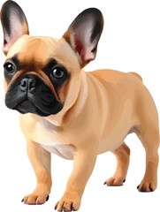 golden retriever dog