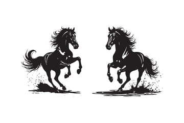 Two powerful black horses rearing up in a dynamic splash of water