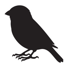 Minimalist Black Sparrow Silhouette Illustration