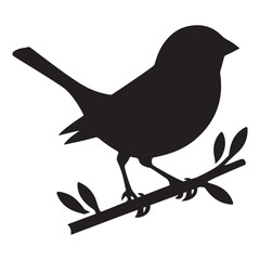Sparrow Silhouette On A Branch On A White Background