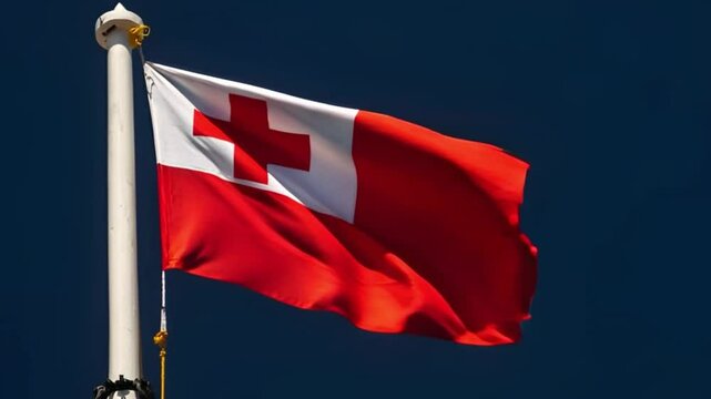 Waving flag of Tonga