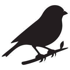 Sparrow Silhouette On A Branch On A White Background