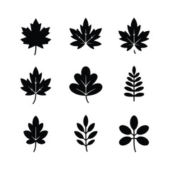 Nine Black Leaf Silhouettes on White Background leaves 1