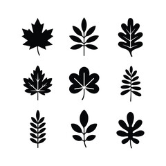 Nine Black Leaf Silhouettes on White Background leaves