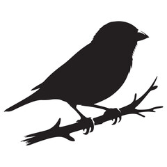 Obraz premium Sparrow Silhouette On A Branch On A White Background