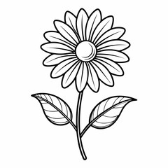 black and white flower