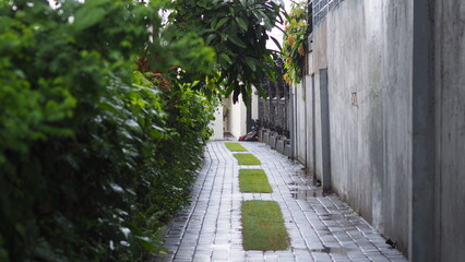 Pathway winding through the lush autumn trees and leaves in a rural park
