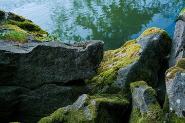 English: Mossy rocks and vibrant green water in a tranquil river setting.