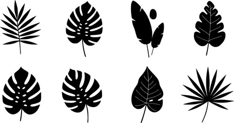 Fototapeta premium et of abstract tropical leaves. Abstract botanical element collection with Earth tone color. Design for natural and floral background pattern, cards and packaging, cosmetics, spa, beauty care.