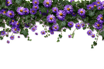 Beautiful arrangement of purple daisies and green ivy against a white background