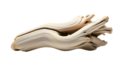 Smooth Driftwood Log Isolated on White Background
