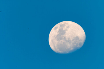 white moon against blue sky