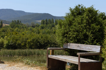Vacant wooden bench nestled beside serene lake, verdant landscape framing calm water under bright...