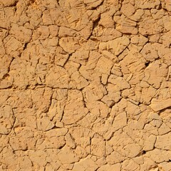 Close up of a textured adobe wall with visible cracks and rough surfaces