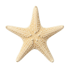 A five-armed starfish, lifelike and highly textured with granular details in pale cream, isolated on a transparent background with bright shadowless top-down studio lighting, hyper-detailed. Concept