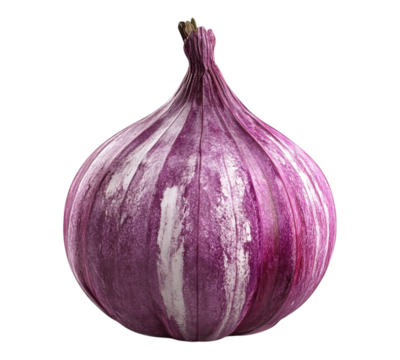 A large purple onion with white stripes