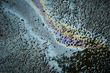 Gasoline or oil spill on wet asphalt creating rainbow sheen reflecting tree