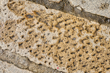 Textured surface of an eroded stone, displaying effects of weathering and creating an interesting natural pattern