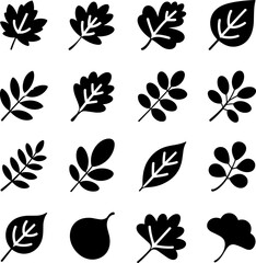  Botanical Leaf Silhouettes Vector Set – Minimal Fall Clipart