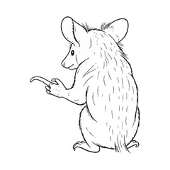 Hidden Animal - Aye-Aye Line art - Aye-Aye Drawing - Aye-Aye vector - Aye-Aye icon - cryptic form