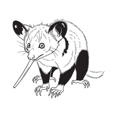 Bushy Tail - Aye-Aye Line art - Aye-Aye vector - Aye-Aye Drawing - Aye-Aye icon - dark shape

