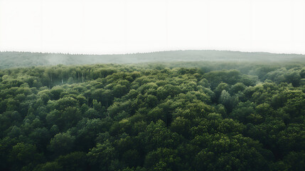 aerial view of a wind farm in a snowy winter landscape, white turbines standing out on icy terrain, overcast sky, calm and quiet renewable energy sceneaerial view of a wind farm in a snowy winter land