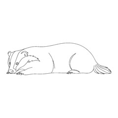 Primal Badger Wildness Disposition - Badger vector - Badger Line art - Badger Drawing - Vector Lineart of Badger - Badger illustration - its fundamental intrinsic untamed power

