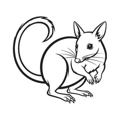 Broad Bandicoot Distinctive Character Insight - Bandicoot vector - Bandicoot Line art - Bandicoot Drawing - Vector Lineart of Bandicoot - Bandicoot icon - its universally recognized small visage

