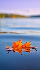 Autumn leaf floating on water surface scenic view fall season nature photography lake