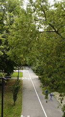 road in the park