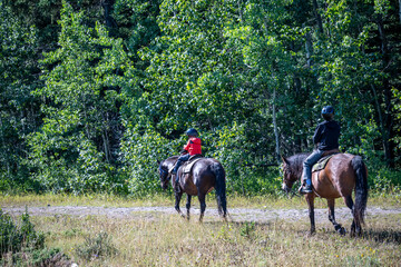 Line of tourists riding horses into the wilderness at Banff National Park, Canada