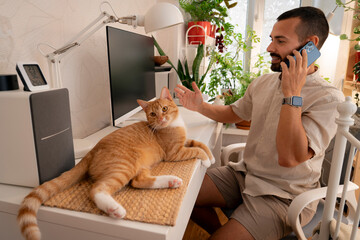 In a bright house, a man is engaged in a phone conversation while sitting at his desk. A cute red...