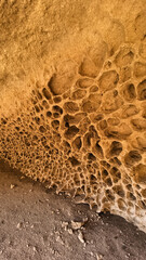 A vertical photo of a textured sandstone rock wall covered with natural erosion holes and honeycomb patterns. Shot in the Mangystau region of Kazakhstan, this geological formation shows wind and water