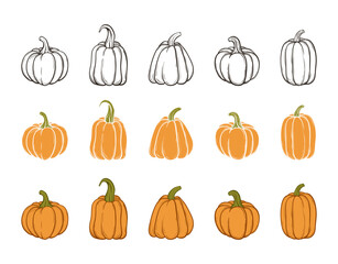 A set of pumpkins, black outlined and colored. Vector collection of cute hand drawn pumpkins on white background. Elements for autumn decorative design, halloween invitation, harvest thanksgiving