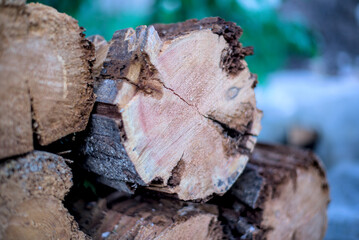 The firewood stack natural background