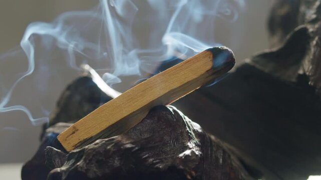 Person holding Palo Santo wood stick in hand, aromatic Palo Santo burning on black background, smoke spreading around, slow motion video clip, high quality 4k close up footage