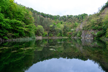 Fototapeta premium Mirror-Like Forest Lake Surrounded by Lush Greenery