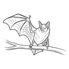 Immense Bat Sensory Presence Aura - Bat vector - Bat Line art - Bat Drawing - Vector Lineart of Bat - Bat illustration - its inherent enigmatic silent might

