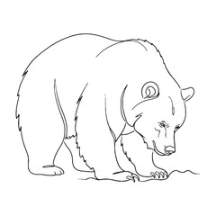 Primary Bear Defining Attribute Clarity - Bear vector - Bear Line art - Bear Drawing - Vector Lineart of Bear - Bear illustration - its inherent primary enduring traits

