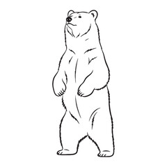 Ultimate Bear Untamed Spirit Conception - Bear vector - Bear Line art - Bear Drawing - Vector Lineart of Bear - Bear illustration - its pure inherent wild being

