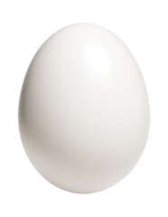 Small, oval hummingbird egg with a plain white and glossy finish