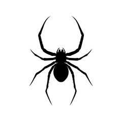 Obraz premium Silhouette of a spider with long legs displayed against a plain setting for artistic or thematic use
