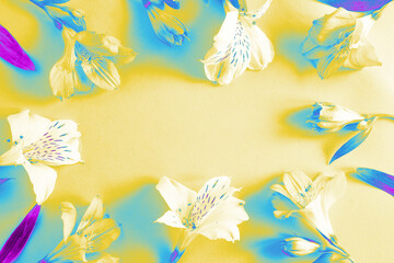 Digitally enhanced white flowers with surreal color glow on bright yellow background and central copyspace for design