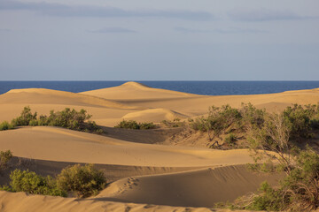 Sand dunes in the Maspalomas area of ​​Gran Canaria Spain