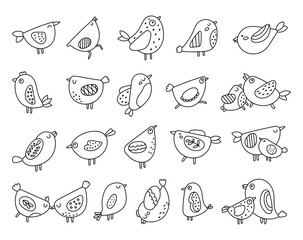 Bird character set in outline line art, flying cartoon animals and wings in cute pose for themed decorative use for your illustration and creative designs projects